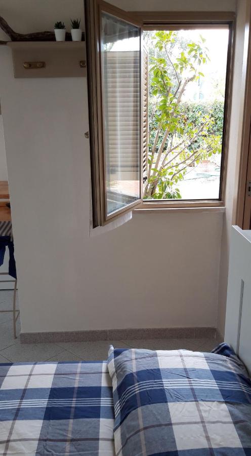 Room Garden Vada Eksteriør billede
